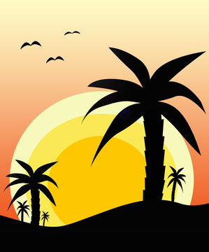 Sunset in desert