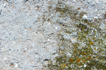 Old ruined concrete wall with traces of moss.