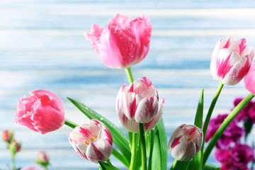 Beautiful flowers close up