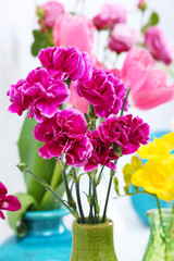 Different beautiful flowers in vases close up