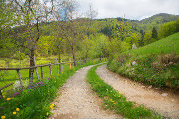 Fototapeta na wymiar Tuhinj valley near Kamnik, Slovenia