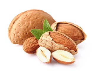 Almond kernel
