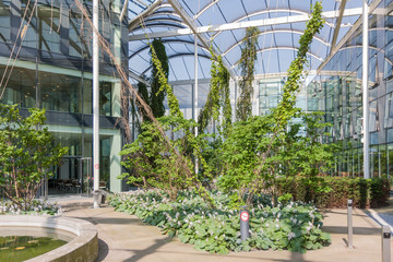 Atrium with pool and plants in a modern building