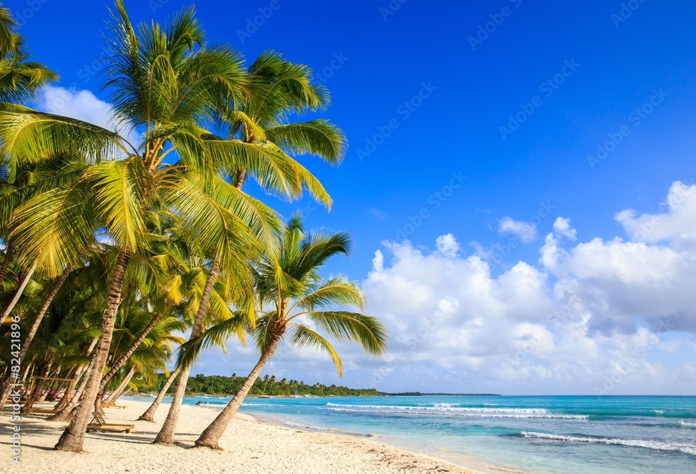 Wall mural Caribbean beach in Dominican Republic