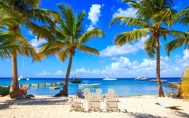 Caribbean beach in Dominican Republic