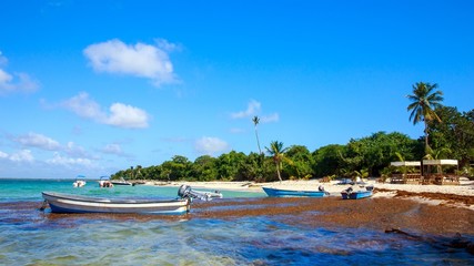 Caribbean beach in Dominican Republic