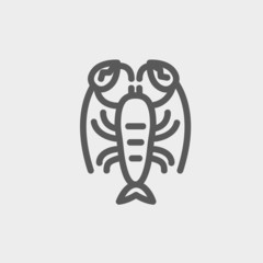 Lobster thin line icon