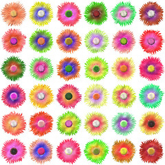 Bloom set generated texture