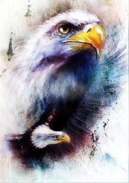 painting of two eagles on an abstract color background