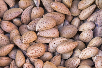 Obraz premium A pile of kernels of paddy bitter almonds