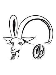 Capricorn horoscope mountain climbing