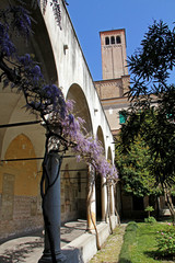 chiostro del seminario di Treviso; ex convento domenicani
