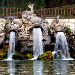 Fototapeta na wymiar Fishes fountain, Caserta, Italy 