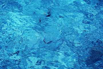 Ocean water background