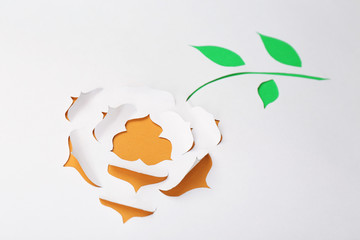Paper flower as greeting card