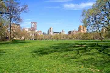 Fototapeta na wymiar Spring in Central Park