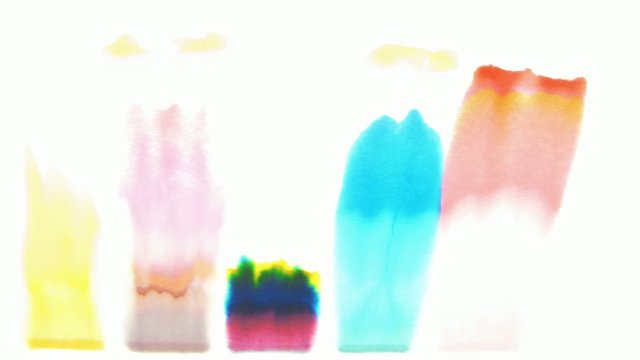 Science project: Ink chromatography on paper time lapse