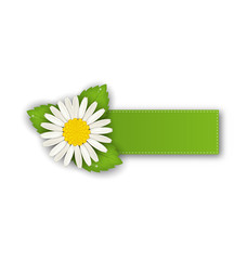 Label or offer sticker with flower daisy, isolated on white back