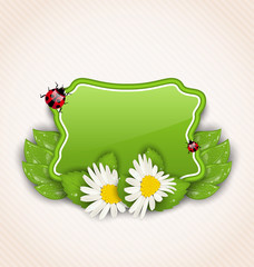 Cute spring card with flower daisies, leaves, ladybugs