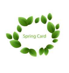 Spring freshness card made in eco green leaves, isolated on whit
