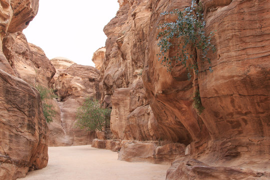 The Siq leading up to the Trausury in Petra, Jordan
