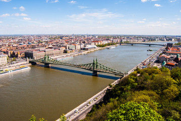 Obraz premium Liberty Bridge in Budapest