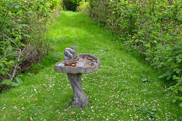Green spring garden and birdbath