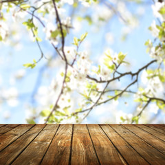 empty table