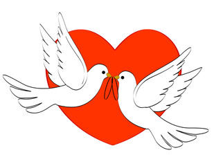 White pigeons with heart