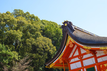 Fototapeta premium Traditional japanese temple roof