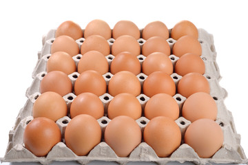 Group of fresh eggs in paper tray
