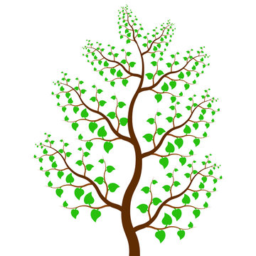 vector of tree