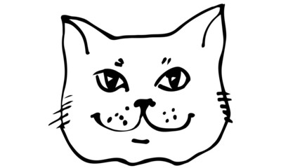 vector sketch beautiful cat muzzle