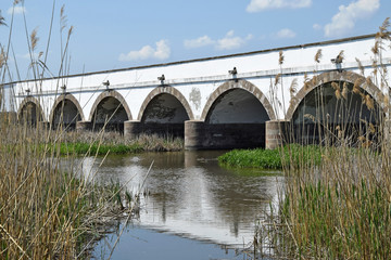 Fototapeta na wymiar Stone bridge over the river Hortobagy