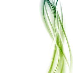 Modern green abstract line background template
