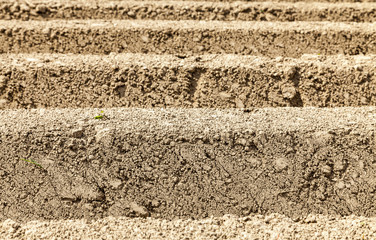 Furrows Abstract