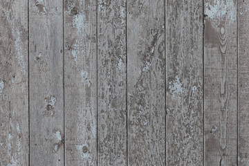 Fototapeta premium Grey old wood background with peeling paint