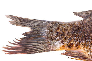 Grilled carp fish tail.