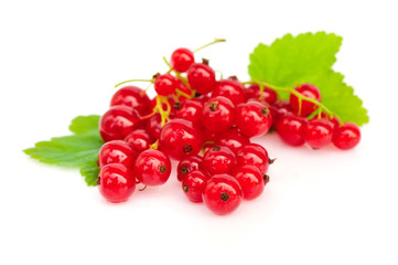 Red currants and green leaves on white background