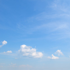 Obraz na płótnie Canvas plumose clouds in the blue sky