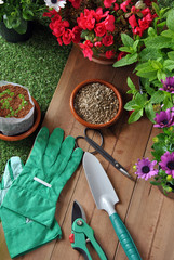 garden tools © expressiovisual