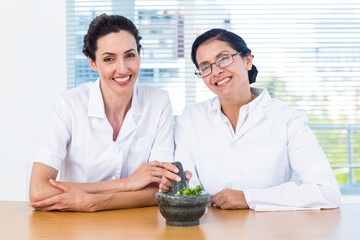 Scientists mixing herbs with pestle and mortar