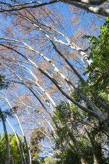 Winter at Malaga Botanical Gardens