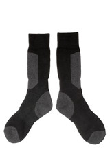 Pair of socks isolated