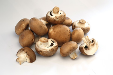 champignons