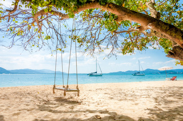 Swing hanging under the tree on the beach