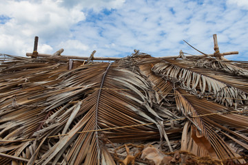 Inde, toit de palmes de cocotier tressés 0449