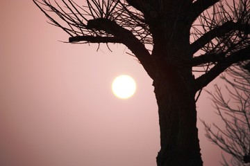 Sonnenaufgang im März Frühlingsstart in Deutschland