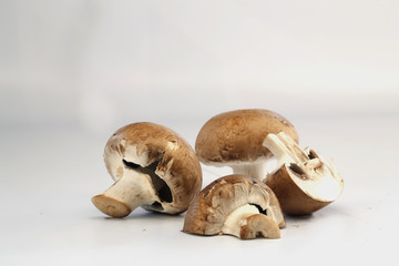 champignons