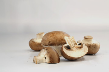 champignons